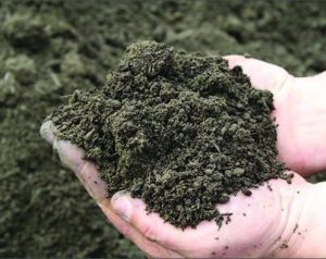 Healthy Soil