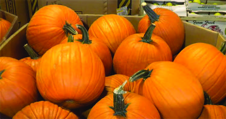 pumpkins